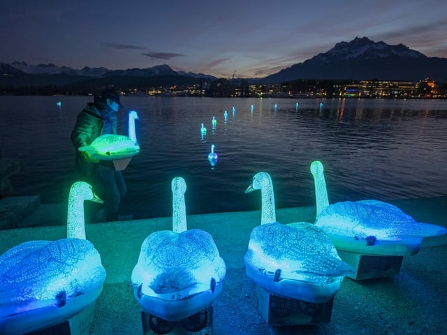 Imposante Kunstinstallation auf dem See mit künstlich leuchtenden Schwänen