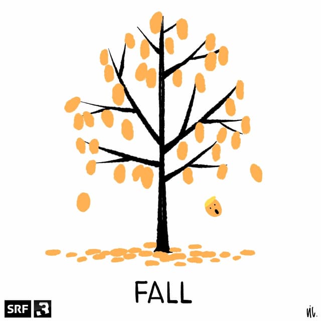 Fall Fall