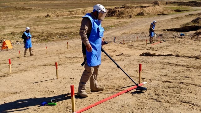Minenräumer mit Helmen und Westen suchen mit Detektoren markierte Flächen ab. Minenräumer mit Helmen und Westen suchen mit Detektoren markierte Flächen ab.