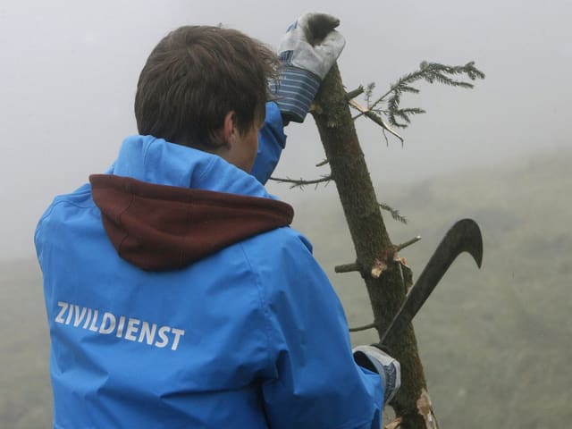 Zivildienststellen umfassen diverse Tätigkeitsbereiche, zum Beispiel Förster. Zivildienststellen umfassen diverse Tätigkeitsbereiche, zum Beispiel Förster.