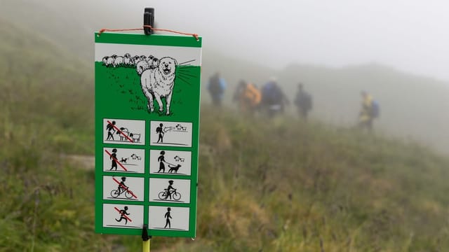 Schutzhundetafel Schutzhundetafel