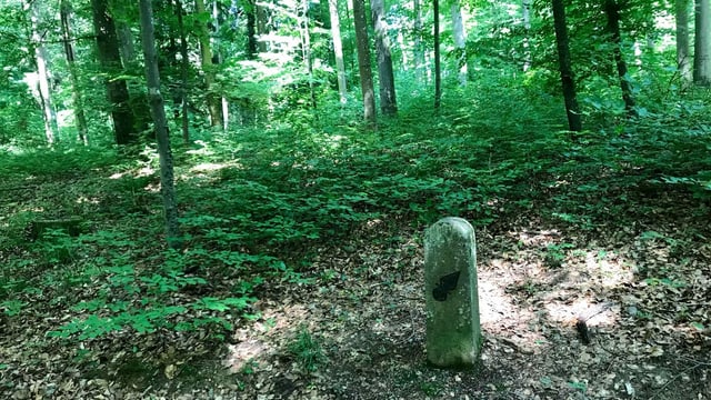 Ein bemooster Grenzstein, dahinter Wald. Ein bemooster Grenzstein, dahinter Wald.