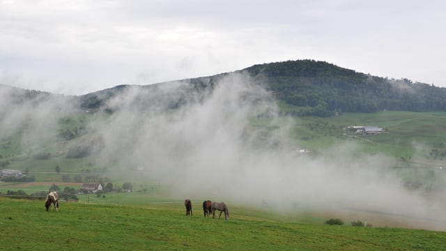 Am Montagmorgen war es zwar herbstlich, aber ab Donnerstag meldet sich der Sommer zurück. Am Montagmorgen war es zwar herbstlich, aber ab Donnerstag meldet sich der Sommer zurück.