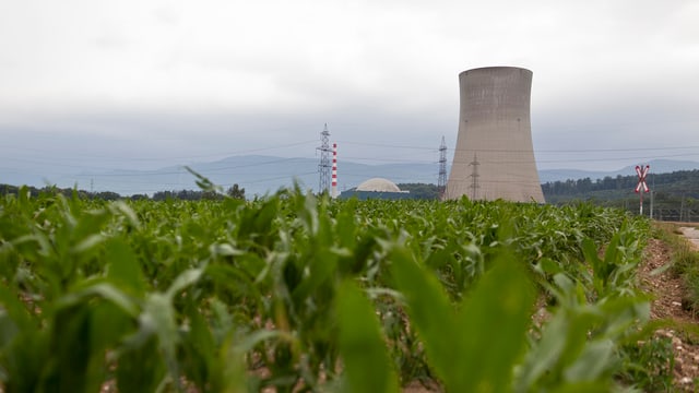 AKW Gösgen hinter Wiese AKW Gösgen hinter Wiese