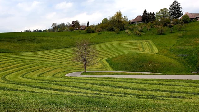 Gemähte Wiese bei Wasen im Emmental. Gemähte Wiese bei Wasen im Emmental.