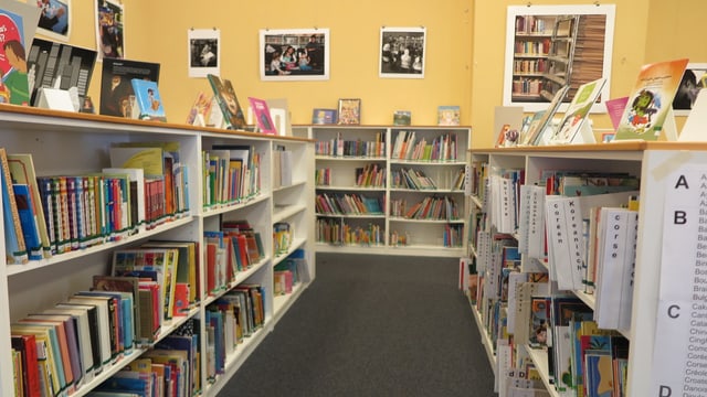 Bücher im Regal Bücher im Regal