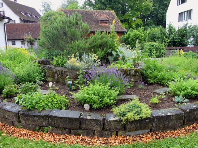 Schneckenbeet