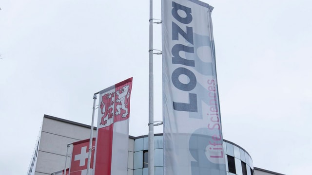 Fahnen vor dem Lonza-Standort in Visp Fahnen vor dem Lonza-Standort in Visp