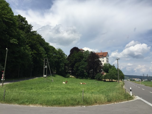 Die Wiese unterhalb des Schlosses.