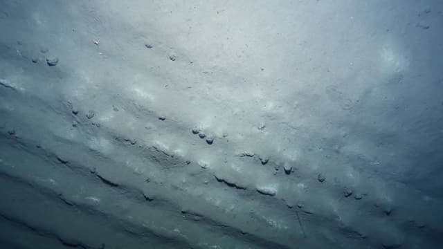 Ein Bild aus 4000m Tiefe unter Meereshöhe: Auf dem Meeresboden sind gleichmässige Gräben zu sehen. Ein Bild aus 4000m Tiefe unter Meereshöhe: Auf dem Meeresboden sind gleichmässige Gräben zu sehen.