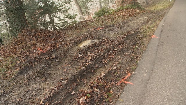 Spuren im Schlamm Spuren im Schlamm