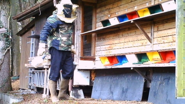 Maskenmann tötet Bienen Maskenmann tötet Bienen