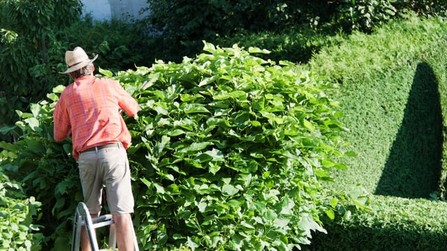 Blogdejust: Gartenpflege Nebenkosten Wie Hoch