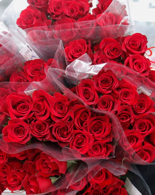 plirs puschels rosas cotschnas plirs puschels rosas cotschnas