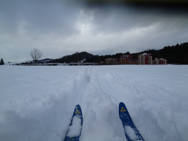 Zwei Skispitzen ragen aus dem Schnee, im Hintergrund ein paar Häuser. Zwei Skispitzen ragen aus dem Schnee, im Hintergrund ein paar Häuser.