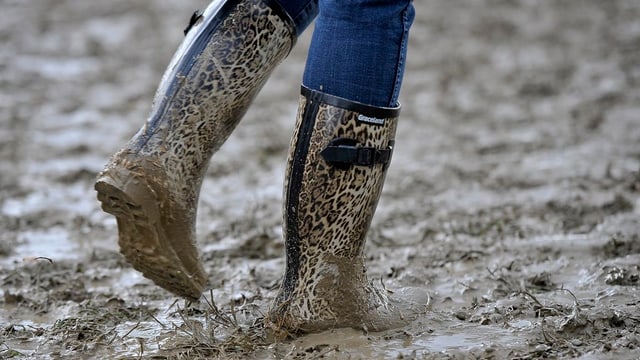 Gummistiefel im Sumpf Gummistiefel im Sumpf