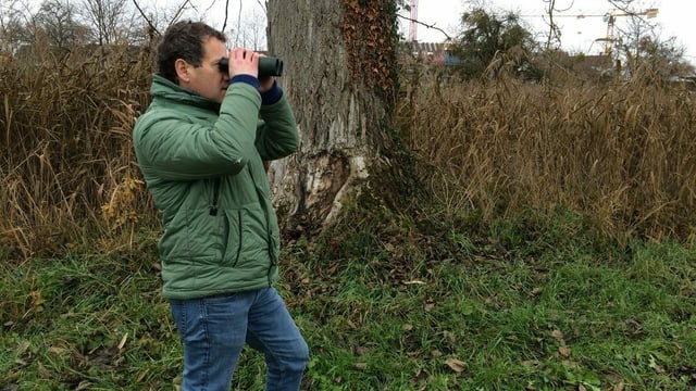 Mann hält Feldstecher vor Gesicht, steht in Wiese. Mann hält Feldstecher vor Gesicht, steht in Wiese.