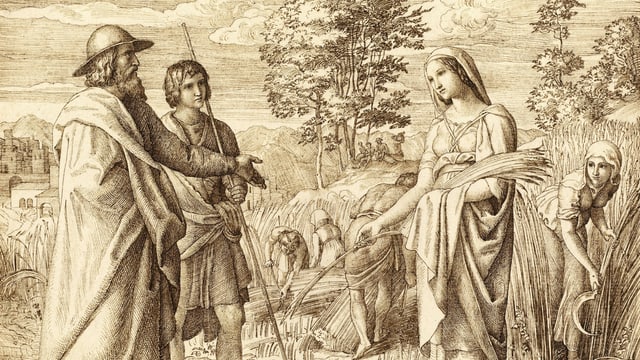 Ruth und Boas auf dem Feld. Das Bild ist eine Zeichnung. Ruth und Boas auf dem Feld. Das Bild ist eine Zeichnung.