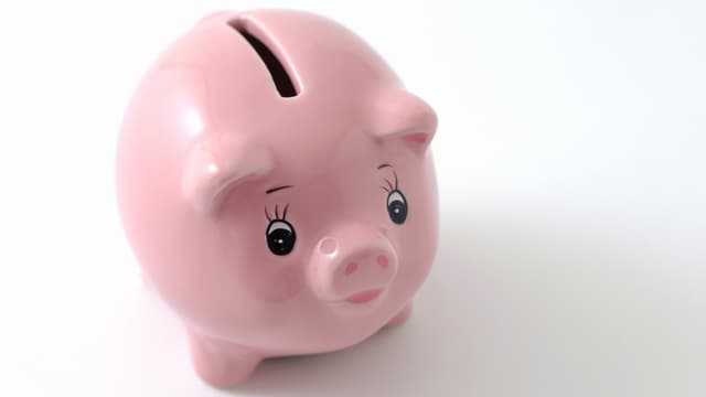 Sparschwein. Sparschwein.