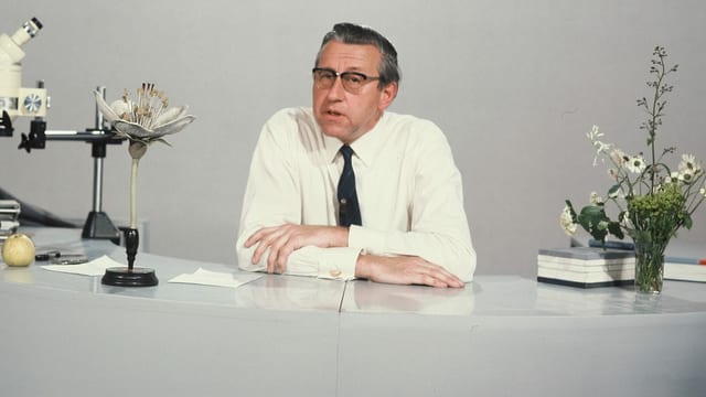Ein Mann mit Hemd und Krawatte in einem Fernsehstudio. Ein Mann mit Hemd und Krawatte in einem Fernsehstudio.