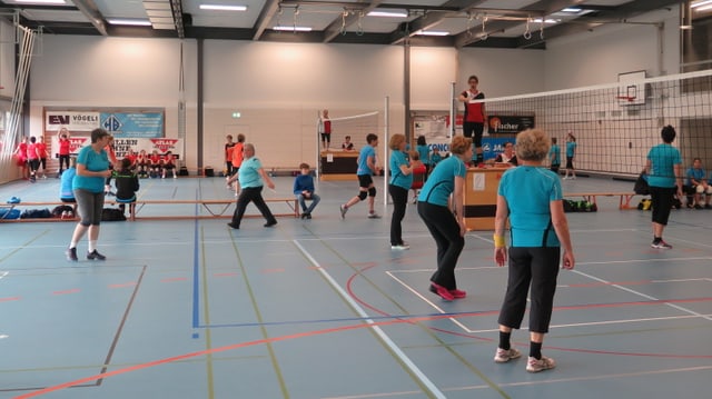 Schnurball Schnurball