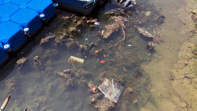 Dreck und Plastik im Wasser Dreck und Plastik im Wasser