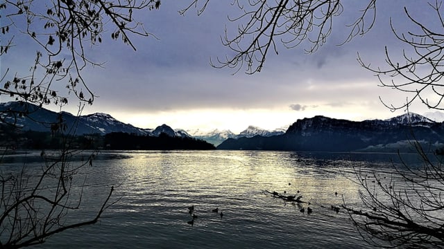 Blick über den Vierwaldstättersee zu den föhnigen Alpen. Blick über den Vierwaldstättersee zu den föhnigen Alpen.