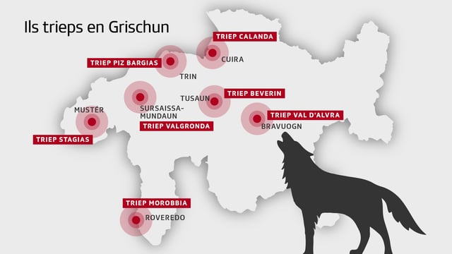 Ina charta geografica ch'inditgescha ils trieps da lufs en il Grischun. Ina charta geografica ch'inditgescha ils trieps da lufs en il Grischun.