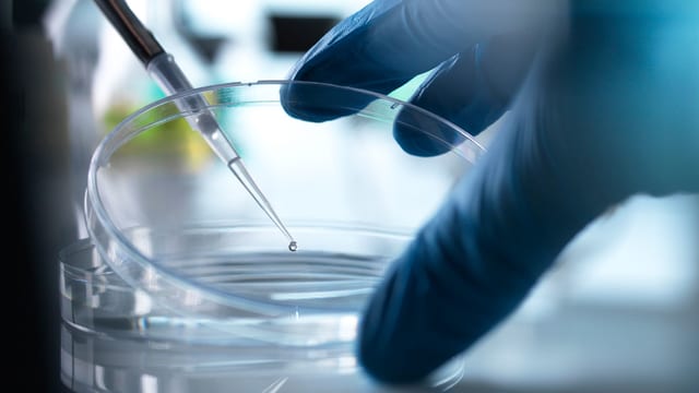 Eine behandschuhte Hand neben einer Pipette in einem Glas. Eine behandschuhte Hand neben einer Pipette in einem Glas.