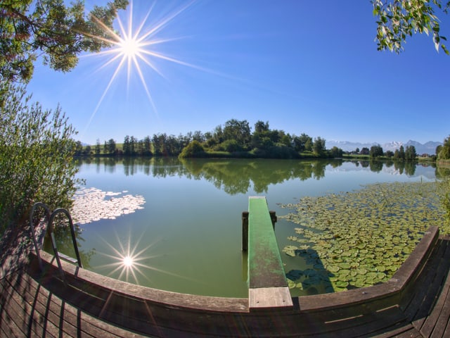 Die Sommersonne wird an der glatten Oberfläche einens Sees gespiegelt. Die Sommersonne wird an der glatten Oberfläche einens Sees gespiegelt.