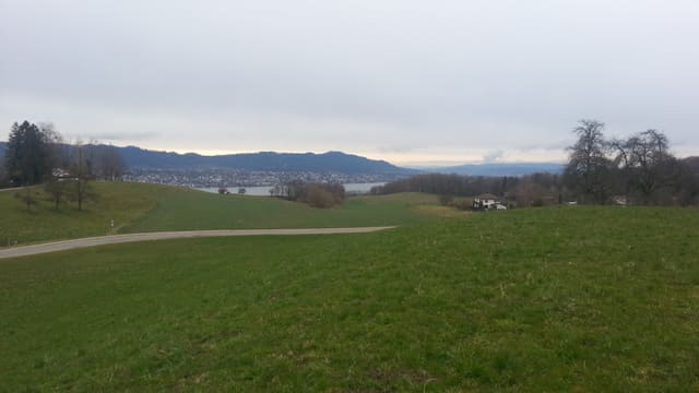 Moränenlandschaft oberhalb von Herrliberg. Erhalten oder mit Gewerbegebäuden überbauen? Um soche Fragen geht es bei der Richtplandebatte. Moränenlandschaft oberhalb von Herrliberg. Erhalten oder mit Gewerbegebäuden überbauen? Um soche Fragen geht es bei der Richtplandebatte.