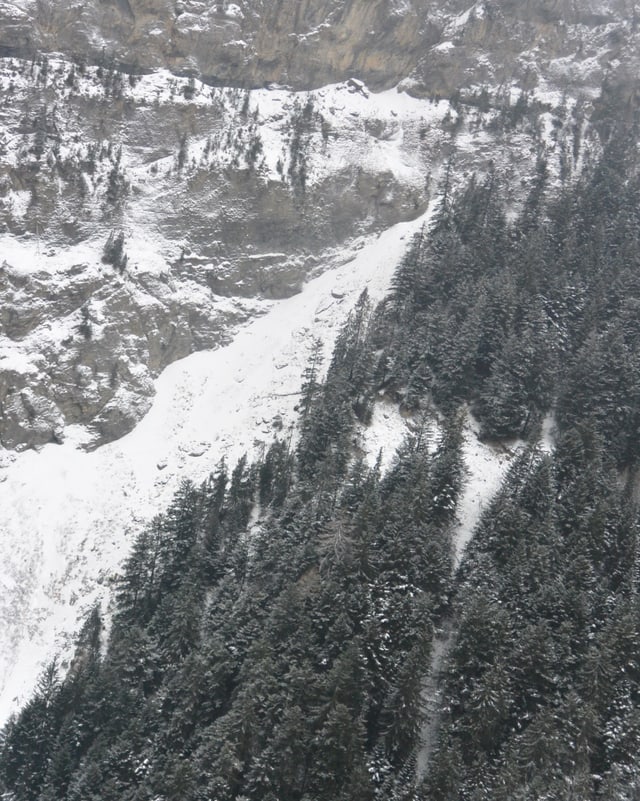 Wald und Felsen mit Schnee Wald und Felsen mit Schnee
