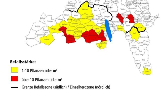 Aktuelle Befallskarte des Kantons Aargau. Aktuelle Befallskarte des Kantons Aargau.