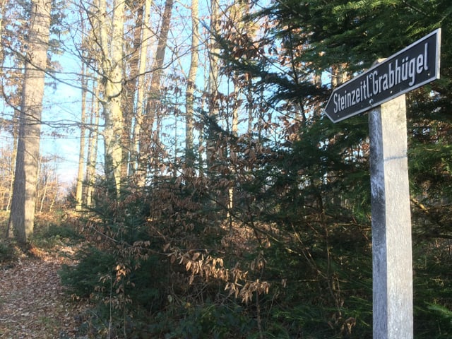 Wegweiser mit der Aufschrift «Steinzeit Grabhügel» im Wald in Sarmenstorf. Wegweiser mit der Aufschrift «Steinzeit Grabhügel» im Wald in Sarmenstorf.