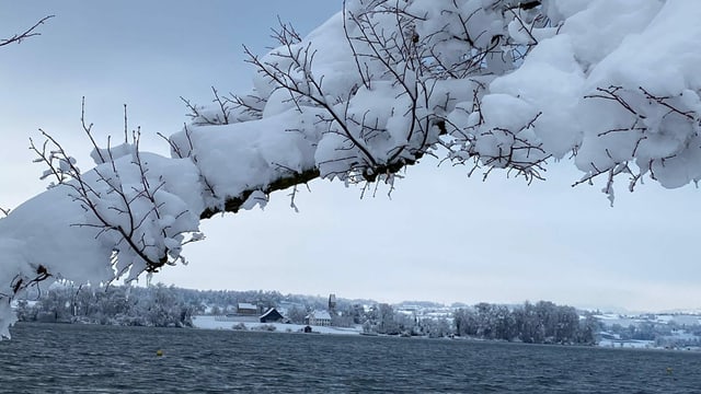 Blick über den Zürichsee zur Insel Ufenau. Blick über den Zürichsee zur Insel Ufenau.