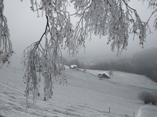 Verschneite Landschaft