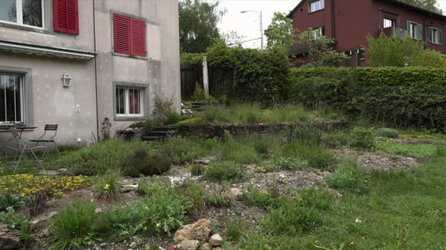 Garten Garten