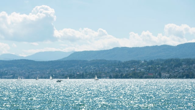 Frau ertrinkt bei Badeunfall im Zürichsee