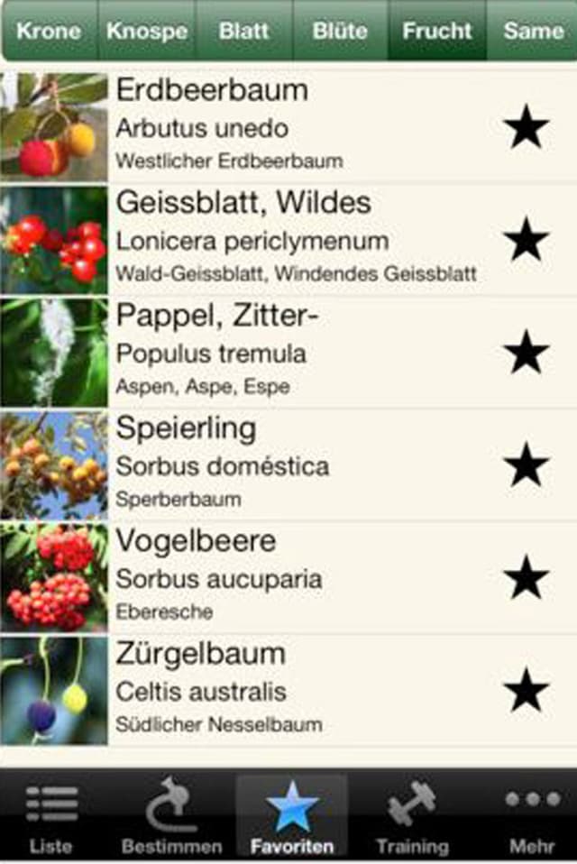 App iForest App iForest