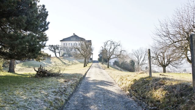 Ein Weg führt zu einem Haus in einer Wiesenfläche. Ein Weg führt zu einem Haus in einer Wiesenfläche.