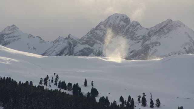 Schneeteufel im Sonnenlicht. Schneeteufel im Sonnenlicht.