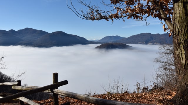 Blick auf das Nebelmeer über dem Luganersee, Der Monte di Caslano ragt als Insel aus dem Nebelmeer. Blick auf das Nebelmeer über dem Luganersee, Der Monte di Caslano ragt als Insel aus dem Nebelmeer.