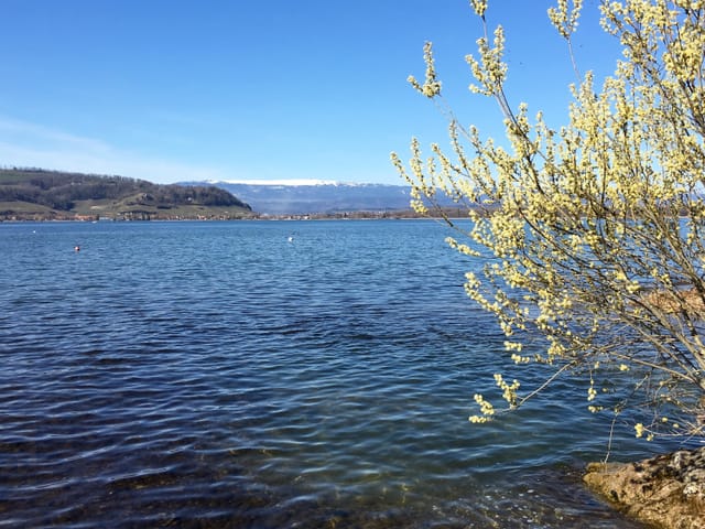 See und im Hintergrund Hügel. Einer hat noch Schnee. Die Sonne scheint.