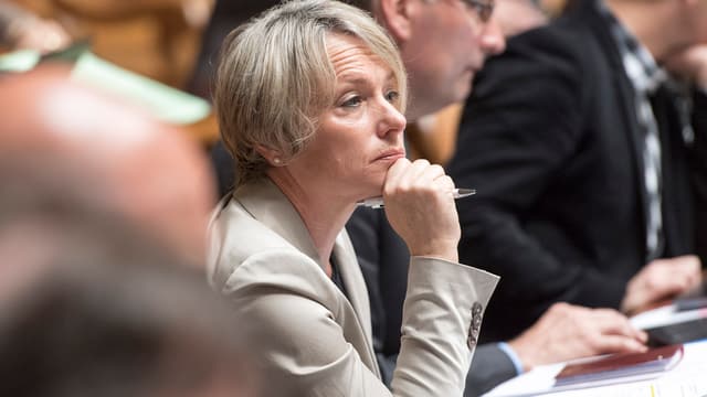 Elisabeth Schneider-Schneiter sitz im Nationalrat Elisabeth Schneider-Schneiter sitz im Nationalrat