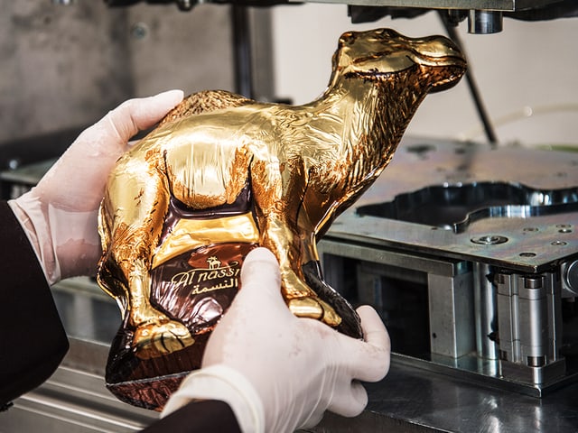 Ein goldenes Schokoladenkamel. Ein goldenes Schokoladenkamel.