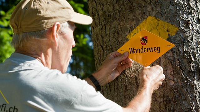 Ein älterer Mann mit Schirmmütze befestigt ein Wanderweg-Zeichen an einem Baum. Ein älterer Mann mit Schirmmütze befestigt ein Wanderweg-Zeichen an einem Baum.
