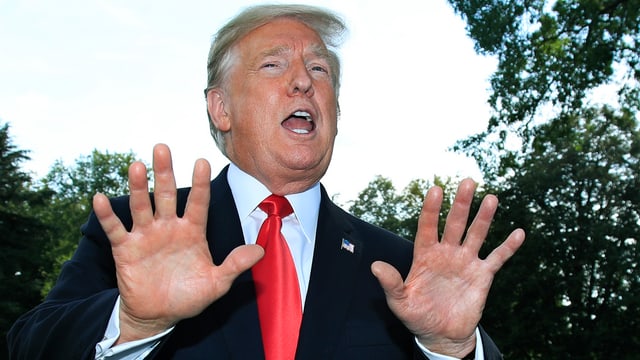 Donald Trump Donald Trump