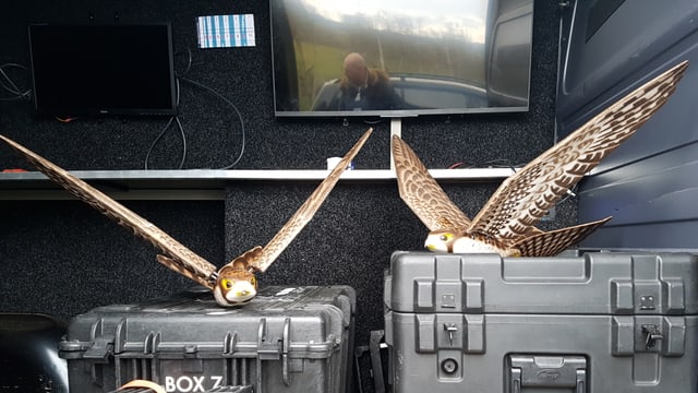 Zwei Robirds auf Kisten im Einsatzwagen. Zwei Robirds auf Kisten im Einsatzwagen.