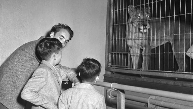Vor 93 Jahren: Eröffnung des Zoo Zürich