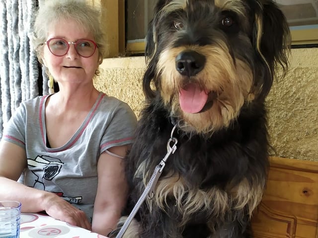 Frau sitzt mit grossem Hund auf Holzank.